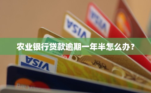 农业银行贷款逾期一年半怎么办？