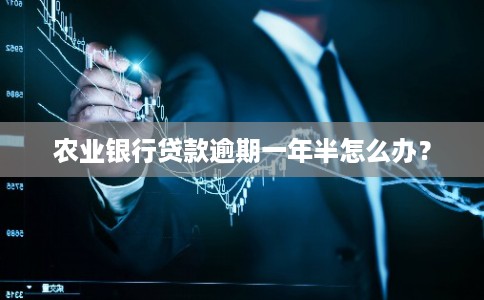 农业银行贷款逾期一年半怎么办？