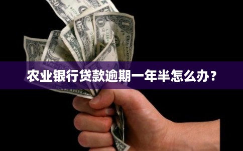 农业银行贷款逾期一年半怎么办？