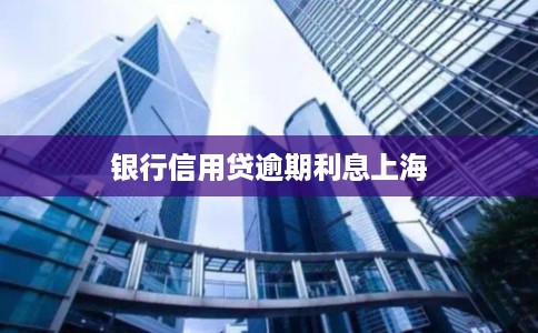 银行信用贷逾期利息上海