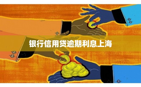 银行信用贷逾期利息上海