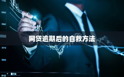 网贷逾期后的自救方法