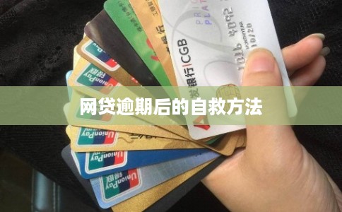 网贷逾期后的自救方法