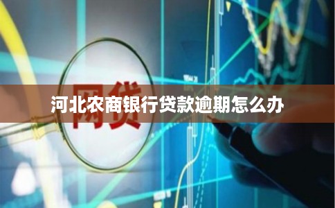 河北农商银行贷款逾期怎么办