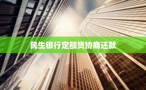民生银行定额贷协商还款