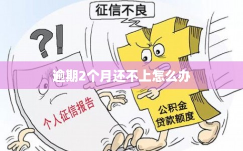 逾期2个月还不上怎么办