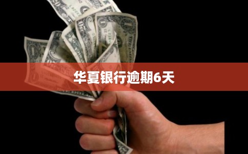 华夏银行逾期6天