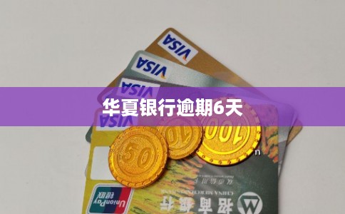 华夏银行逾期6天