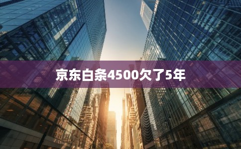 京东白条4500欠了5年