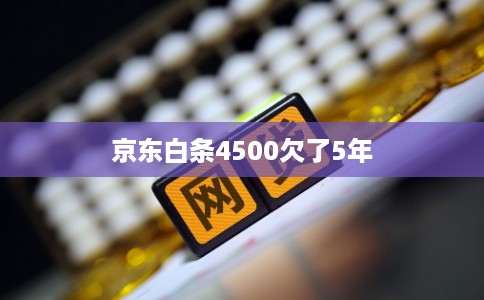 京东白条4500欠了5年