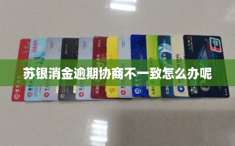 苏银消金逾期协商不一致怎么办呢 苏银消金逾期协商不一致怎么办呢