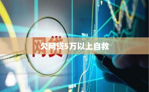 欠网贷5万以上自救