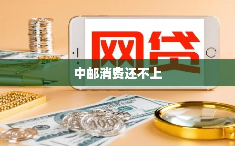 中邮消费还不上