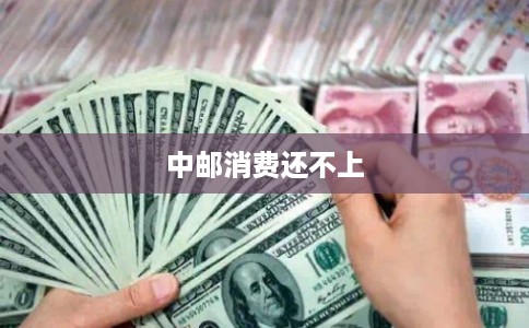 中邮消费还不上