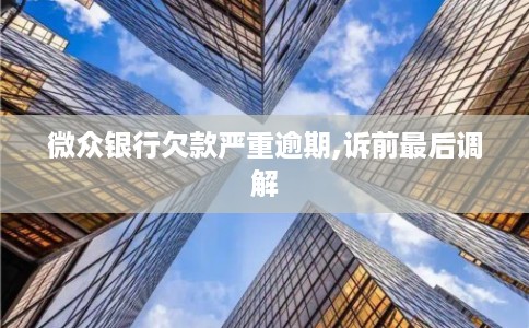 微众银行欠款严重逾期,诉前最后调解