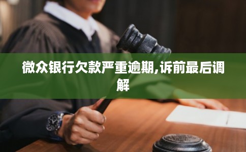 微众银行欠款严重逾期,诉前最后调解