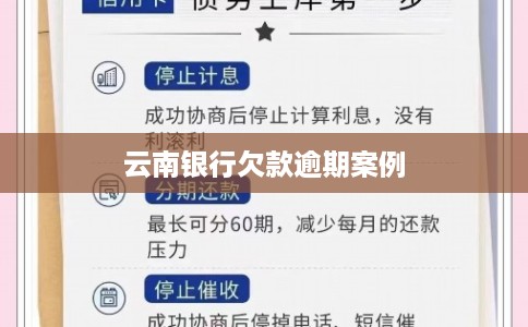 云南银行欠款逾期案例