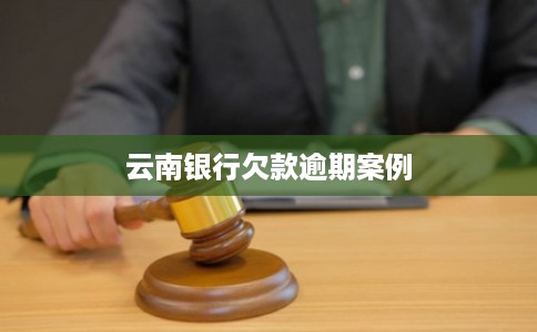 云南银行欠款逾期案例