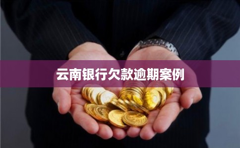 云南银行欠款逾期案例