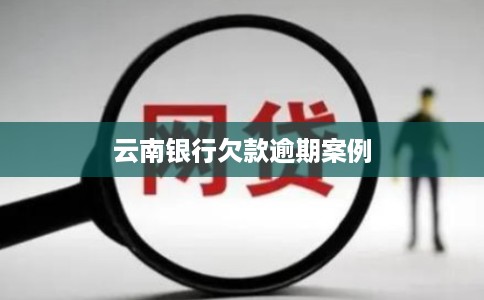 云南银行欠款逾期案例