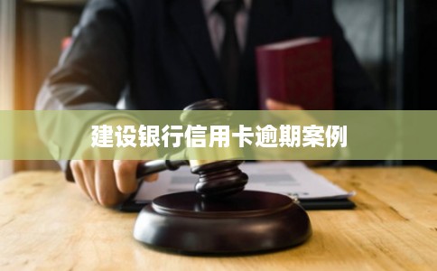 建设银行信用卡逾期案例