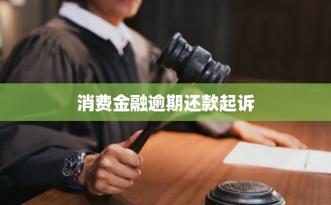 消费金融逾期还款起诉