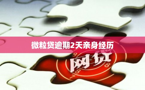 微粒贷逾期2天亲身经历