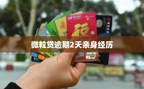 微粒贷逾期2天亲身经历