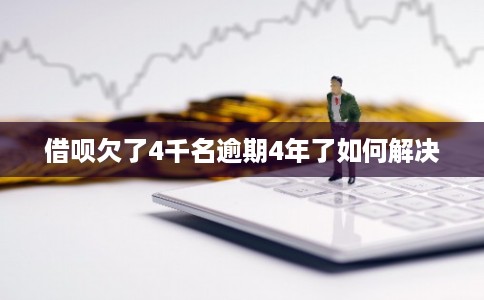 借呗欠了4千名逾期4年了如何解决