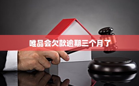 唯品会欠款逾期三个月了