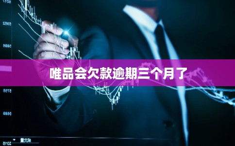 唯品会欠款逾期三个月了