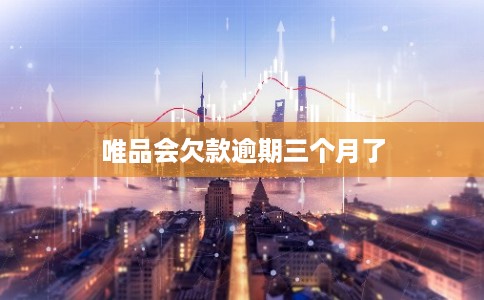 唯品会欠款逾期三个月了