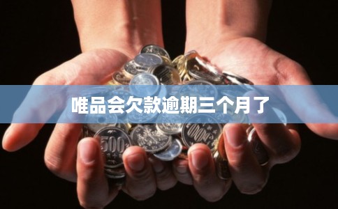 唯品会欠款逾期三个月了