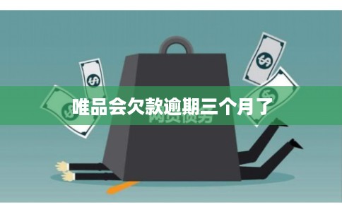 唯品会欠款逾期三个月了