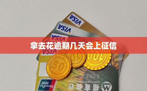 拿去花逾期几天会上征信