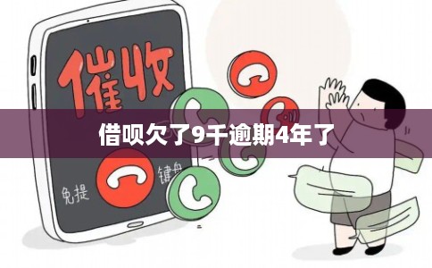 借呗欠了9千逾期4年了