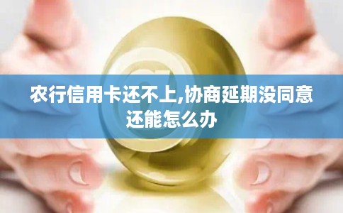 农行信用卡还不上,协商延期没同意还能怎么办