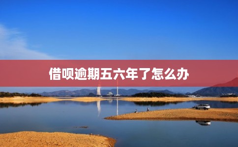 借呗逾期五六年了怎么办