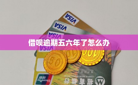 借呗逾期五六年了怎么办