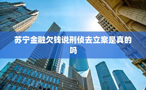苏宁金融欠钱说刑侦去立案是真的吗