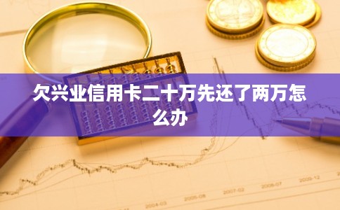 欠兴业信用卡二十万先还了两万怎么办
