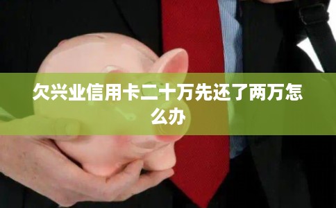 欠兴业信用卡二十万先还了两万怎么办