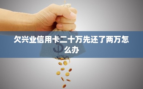 欠兴业信用卡二十万先还了两万怎么办