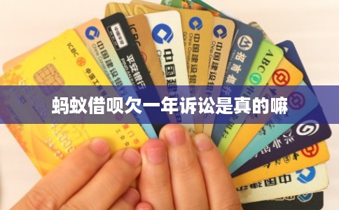 蚂蚁借呗欠一年诉讼是真的嘛