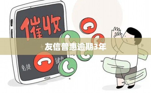 友信普惠逾期3年
