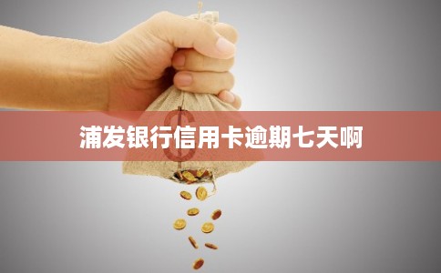 浦发银行信用卡逾期七天啊