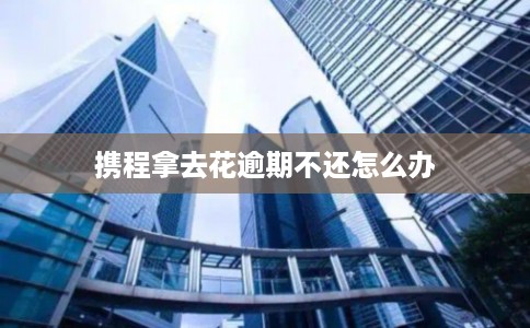 携程拿去花逾期不还怎么办