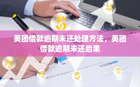 美团借款逾期未还处理方法，美团借款逾期未还后果