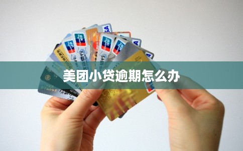 美团小贷逾期怎么办