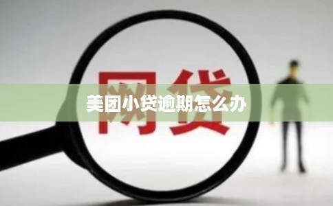 美团小贷逾期怎么办